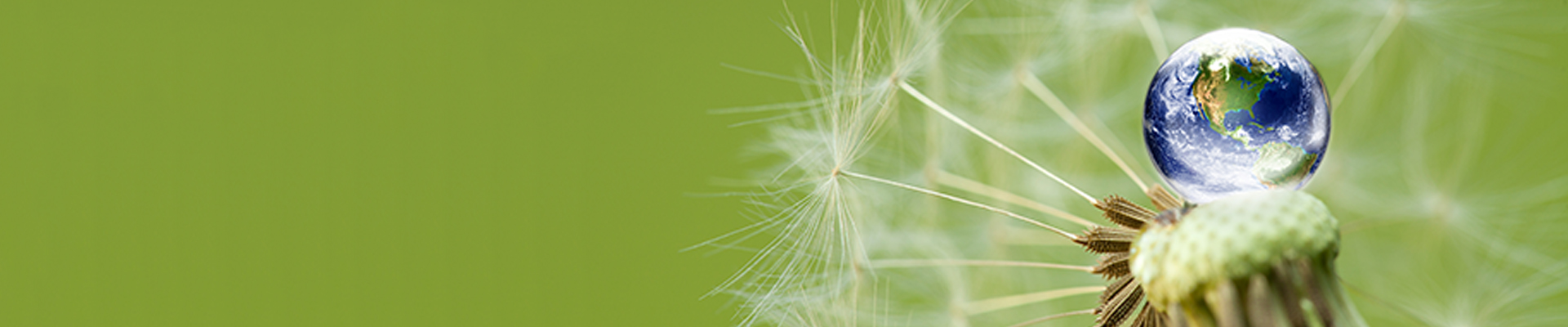 Gestión medioambiental